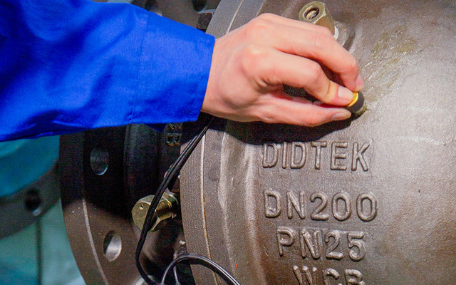 Determinato-detector ad ultrasuoni